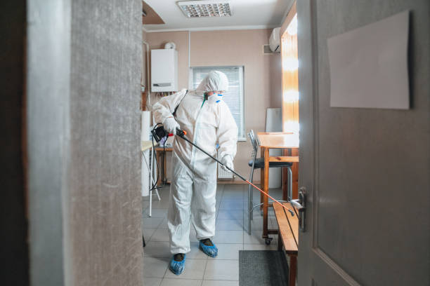 Best Indoor Air Quality Assessment  in Second Mesa, AZ