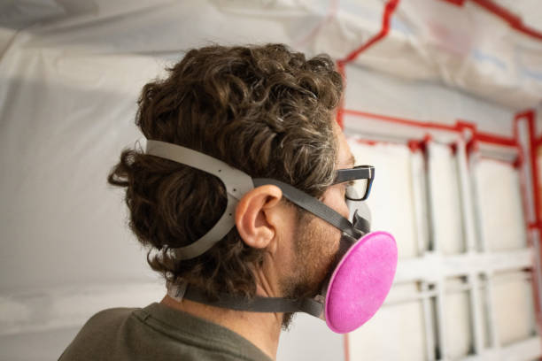 Best Industrial Mold Remediation  in Second Mesa, AZ
