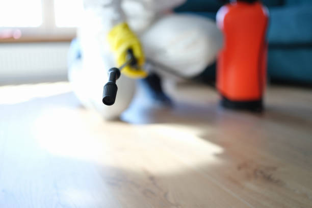 Best Real Estate Mold Inspection  in Second Mesa, AZ